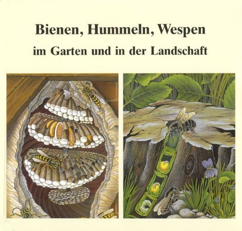 Bienen hummeln wespen im - wespen,
