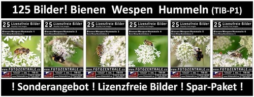 125 lizenzfreie profi bilder - 125, profi-bilder