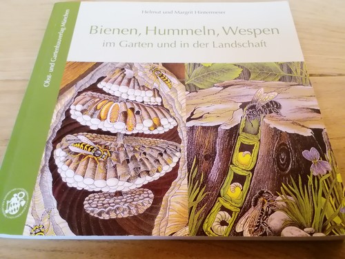 Bienen hummeln wespen im - wespen,