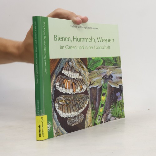 Bienen hummeln wespen - hummeln,, im