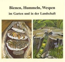 Bienen hummeln wespen - hummeln,, im