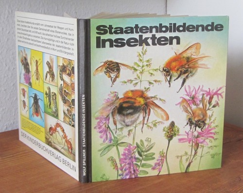 Staatenbildende insekten - insekten,